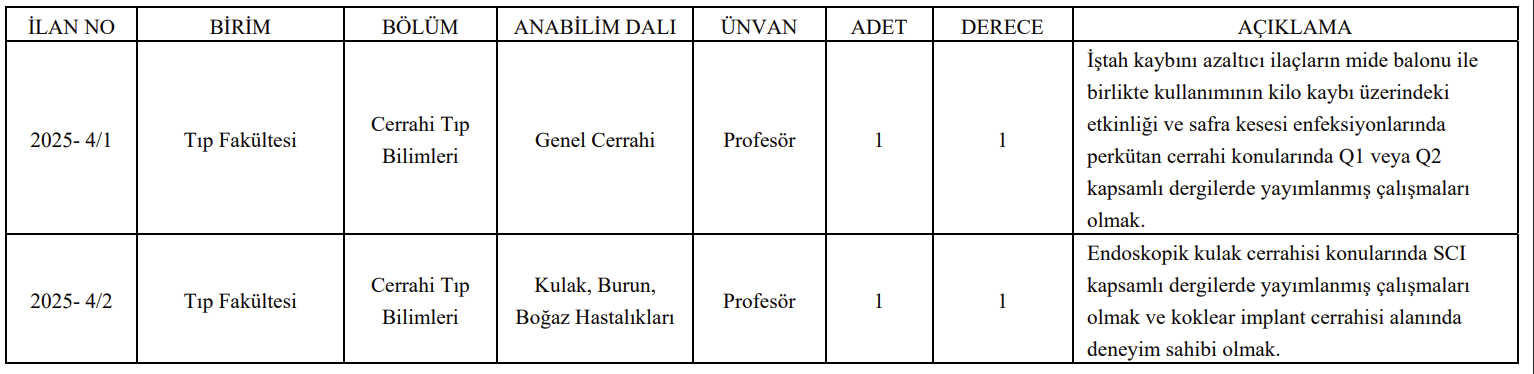 Samsun Üniversitesi Akademik Kadro İlanı Resmi